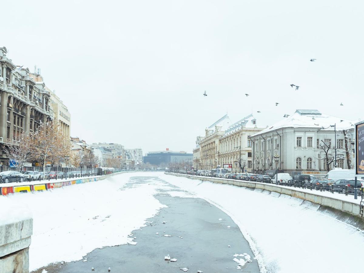 Cosy Studio - Amazing Location - Old Town Bukarest Exteriör bild
